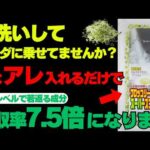 【食べる美容液】ブロッコリースプラウトの効果を最大化する「究極の食べ方」TOP5（美容/デトックス/健康/アンチエイジング）